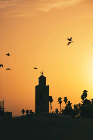 MARRAKECH/eyelit-studio-ng53sGbA-yA-unsplash.jpg