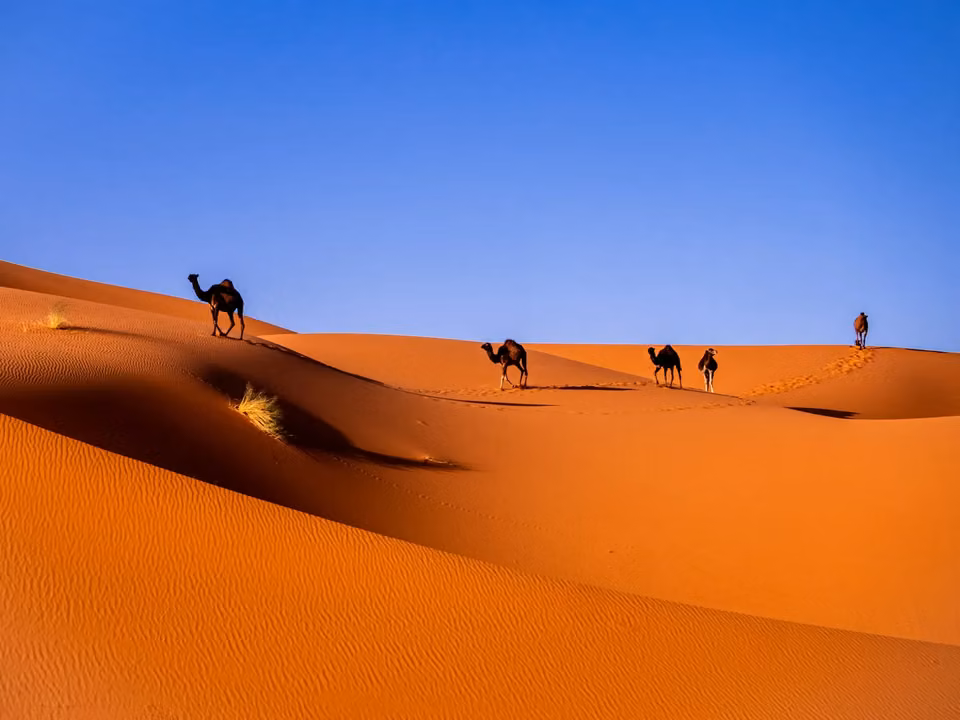 Marrakech → Erg Chebbi · 5 noches