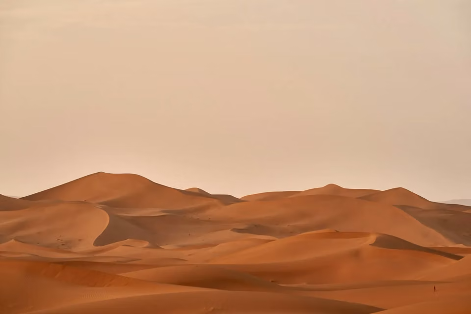 Desert adventures
