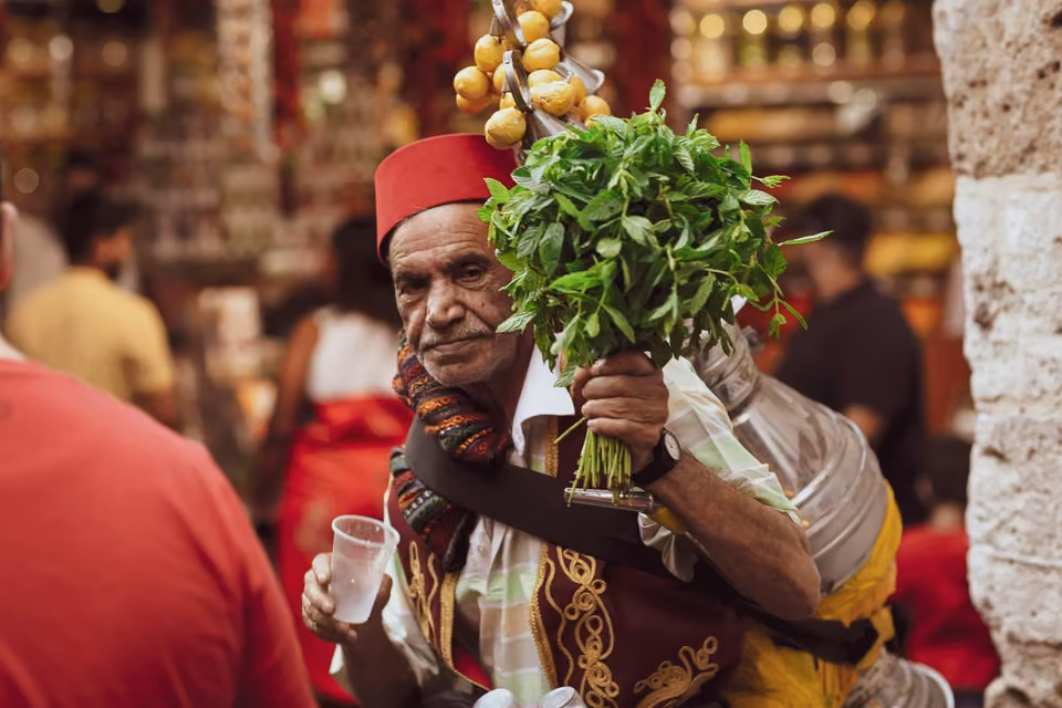 High Atlas · Desert · Fez