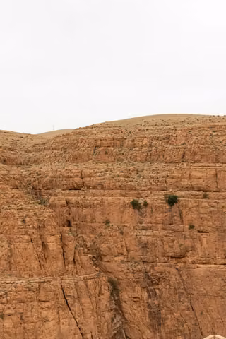 Pexels · Marcia Salido.jpg