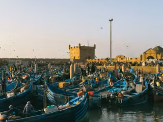 Pexels · Hamza Laafou.jpg