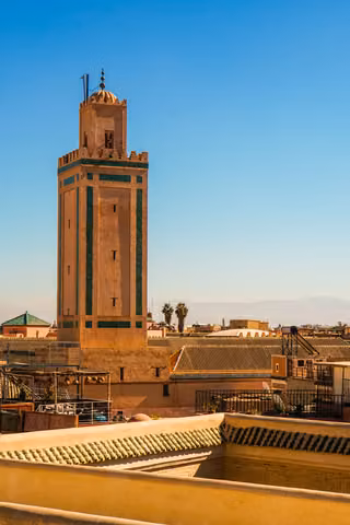 Pexels · Domenico Bertazzo.jpg