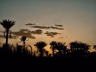 Pexels · YOUSSEF elbelghiti.jpg