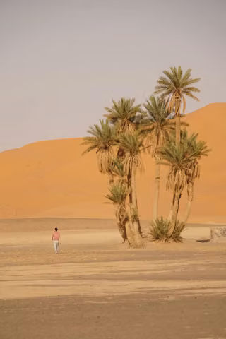 Pexels · abderrahim benboualam.jpg