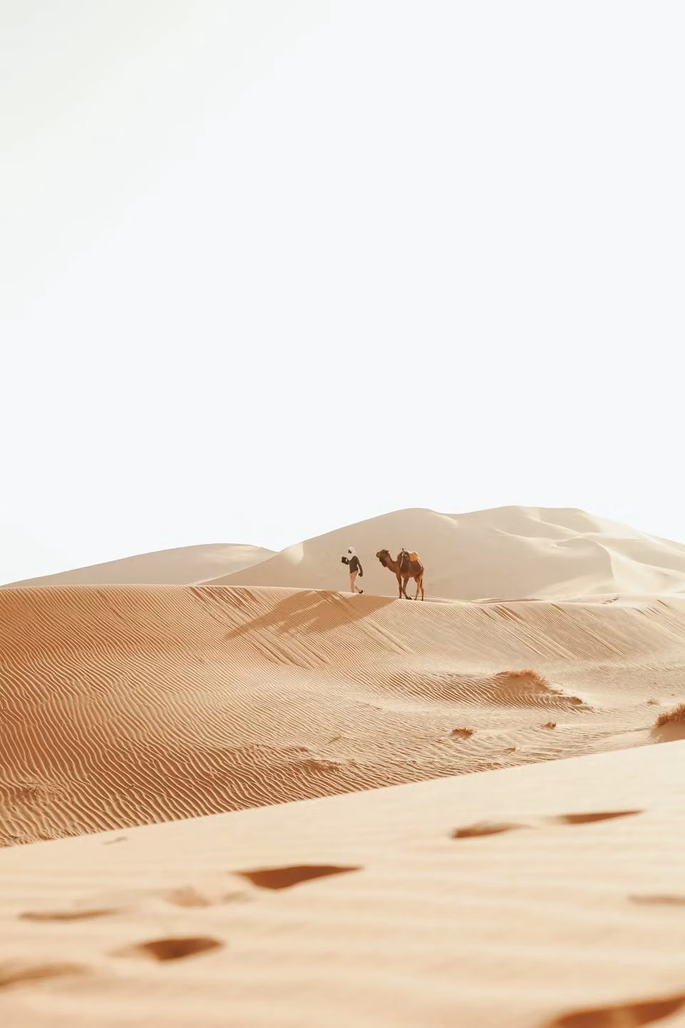 Escape to the Moroccan desert