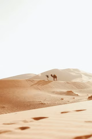 Pexels · Mehdi El Marouazi.jpg