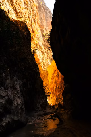 Pexels · From Salih.jpg