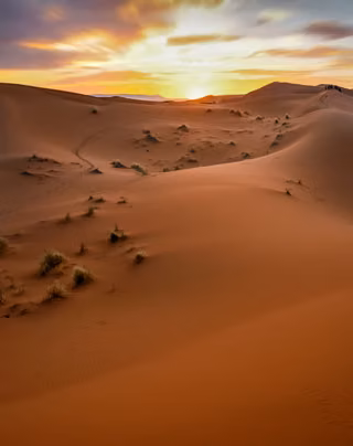 Pexels · Moussa Idrissi.jpg