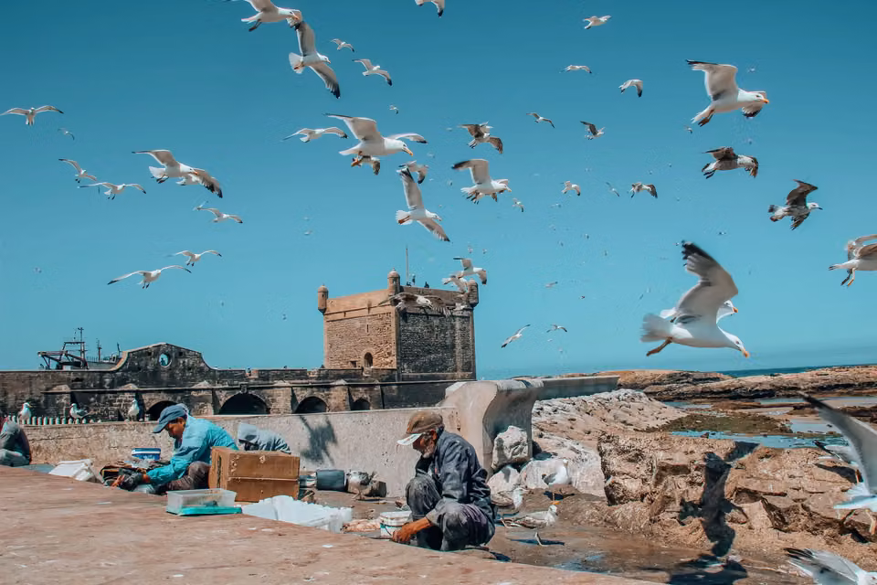 Essaouira harbour