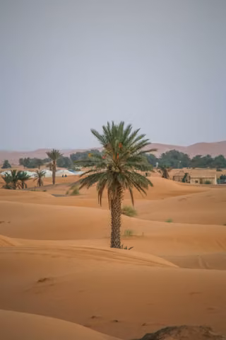 Pexels · Yassine Oukhadjou.jpg