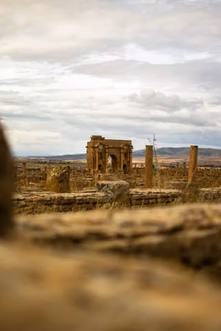 Pexels · Mohamed elamine  M'siouri.jpg