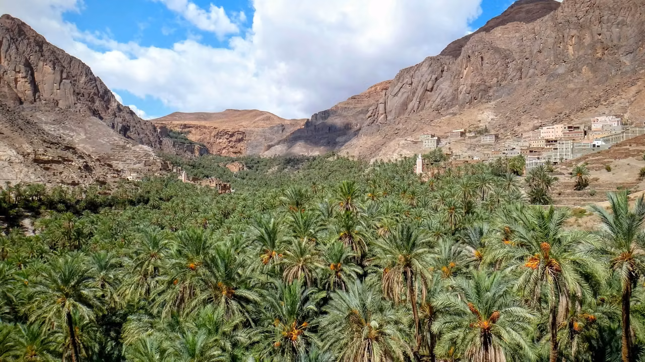 Valle del Ziz – Errachidia – Regreso