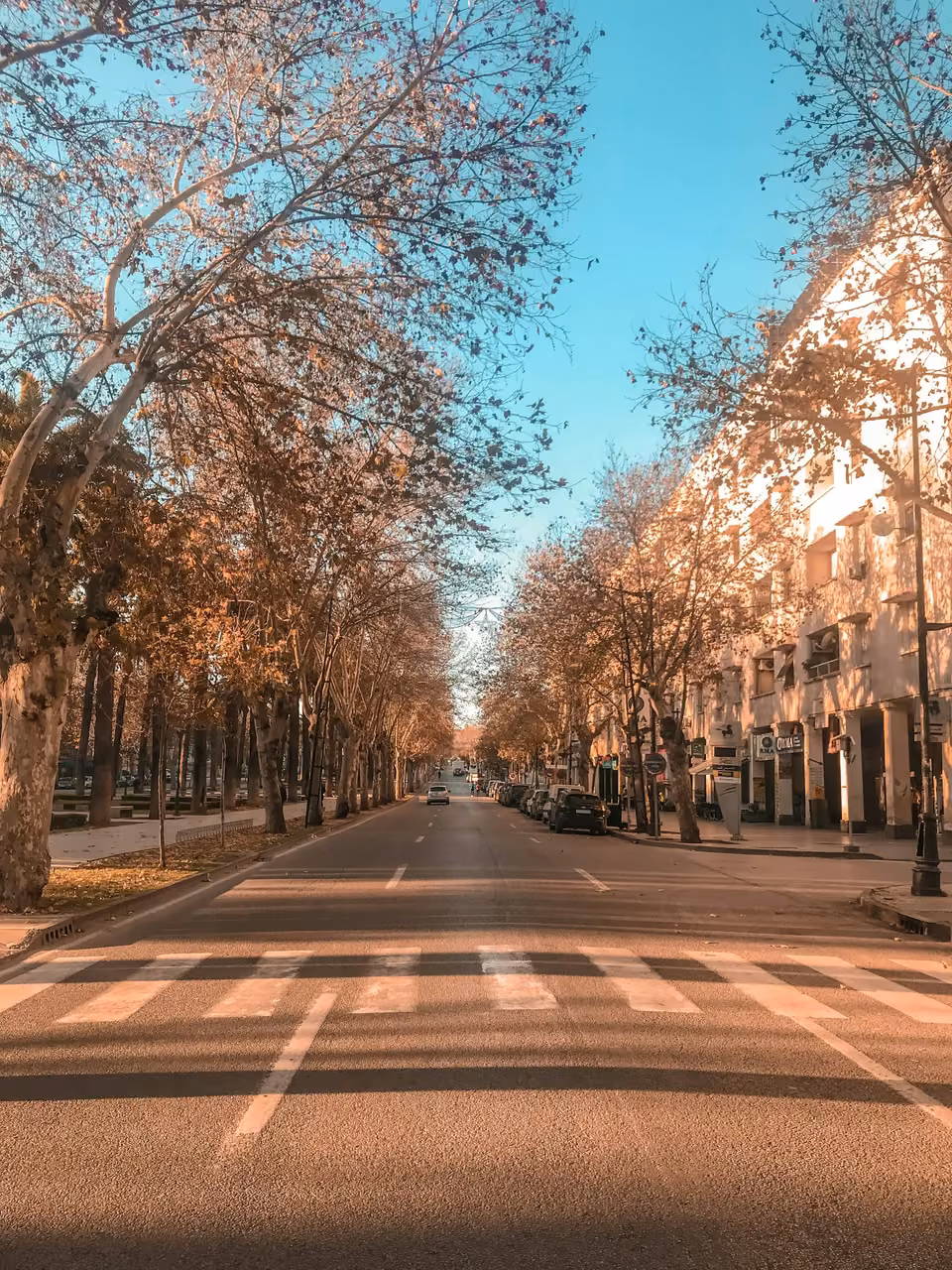 Ifrane