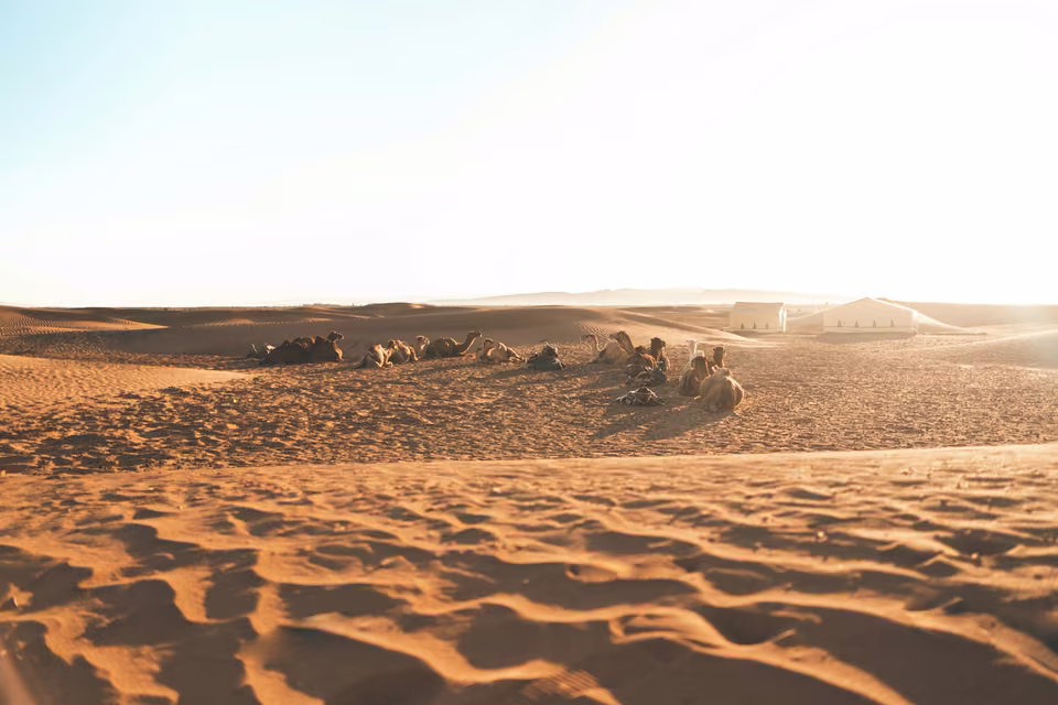 Zagora