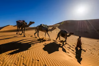 Tinerhir · Todra · Erg Chebbi · Bivouac