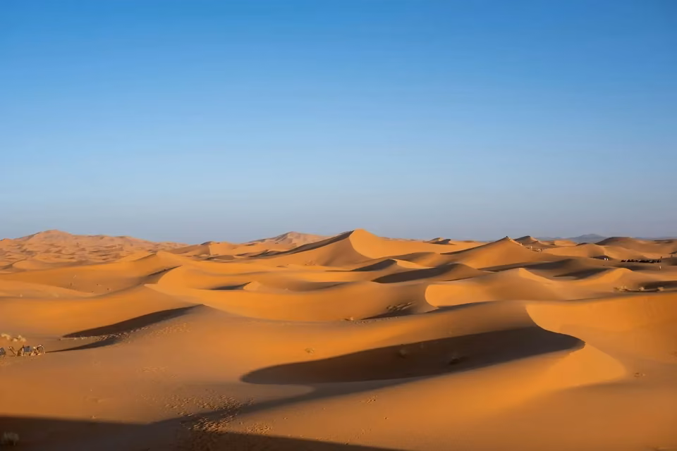 Mirador del desierto