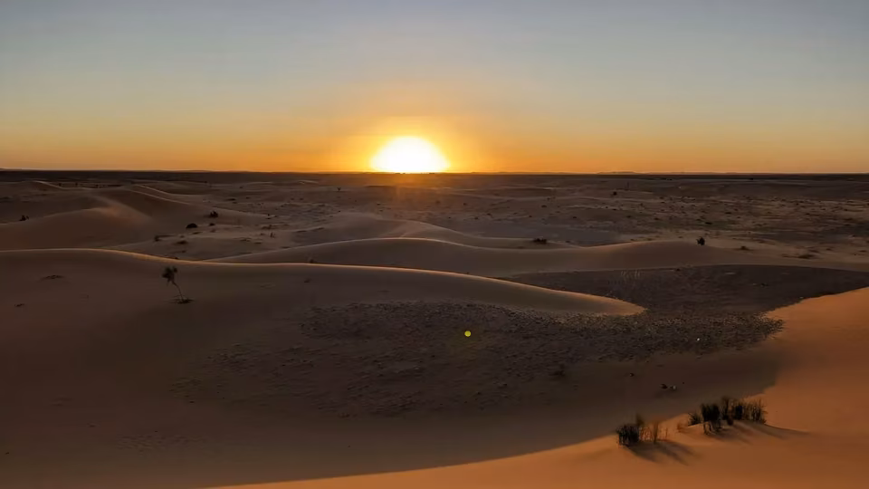 El despertar del Sahara