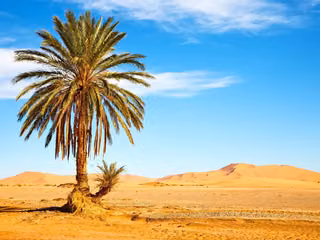sur-gallery-kasbahs.image.3.jpg